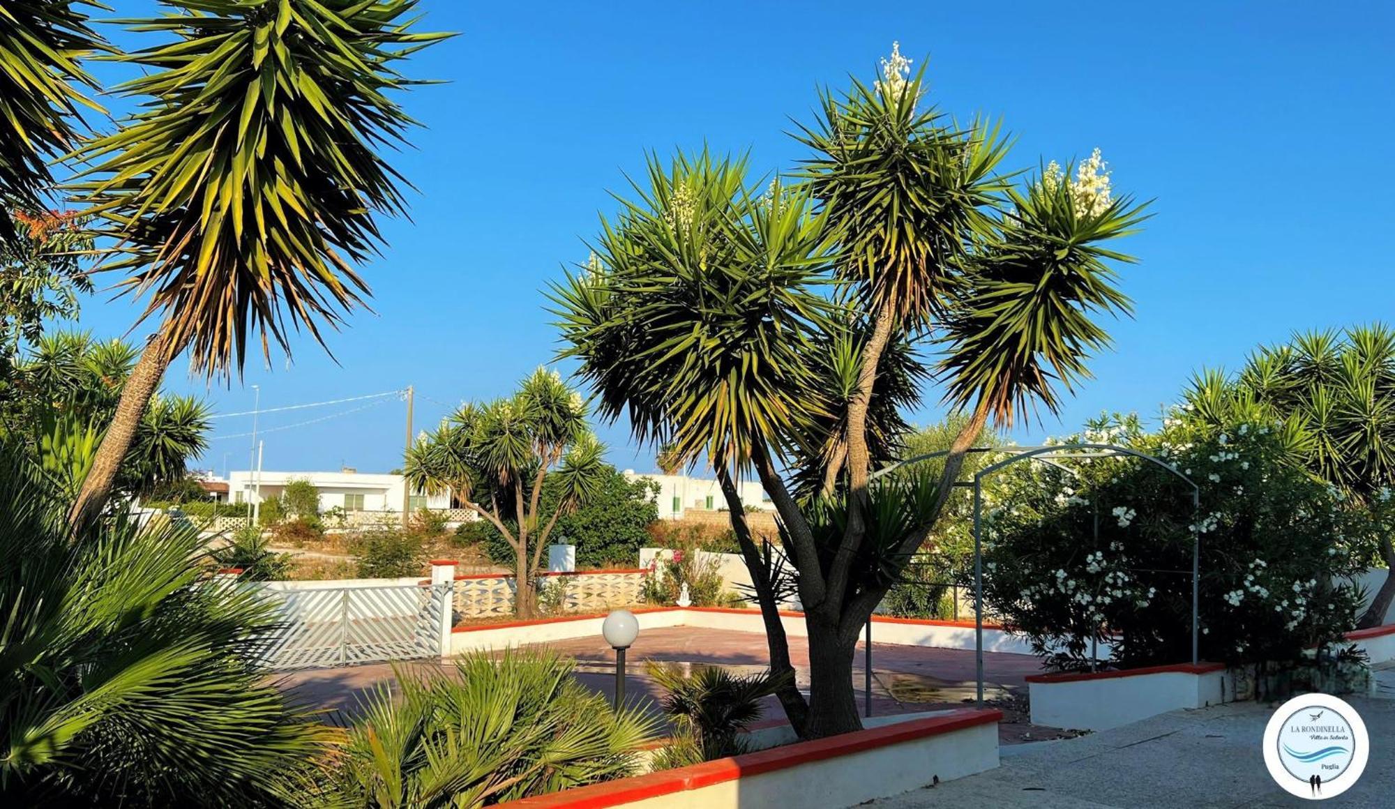 Villa La Rondinella - Torre San Giovanni Екстериор снимка