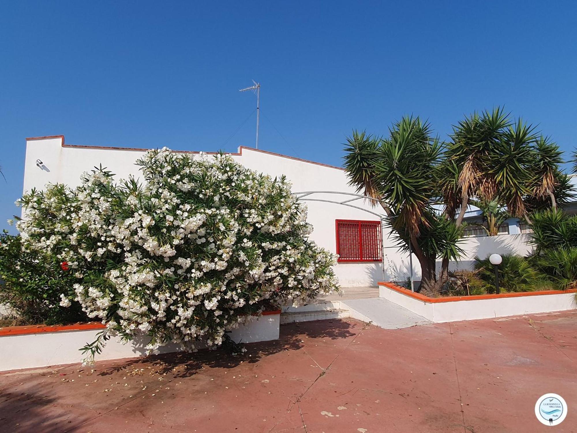 Villa La Rondinella - Torre San Giovanni Екстериор снимка